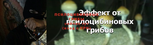 mix Абаза