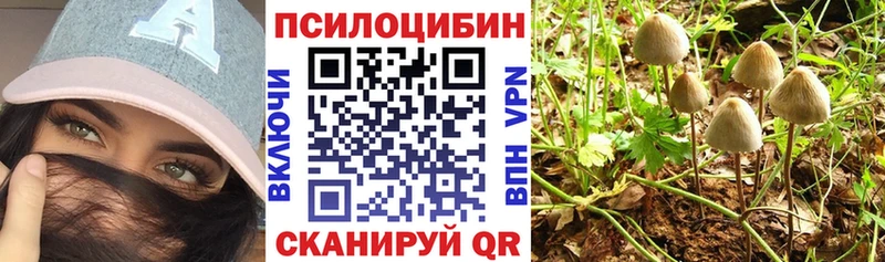 Галлюциногенные грибы Psilocybine cubensis  купить наркоту  Инта 